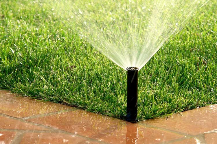 Irrigation1