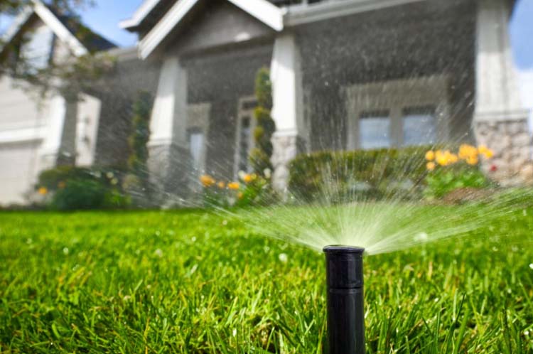 Irrigation2