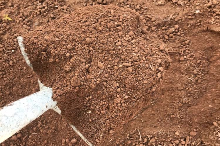 topsoil3