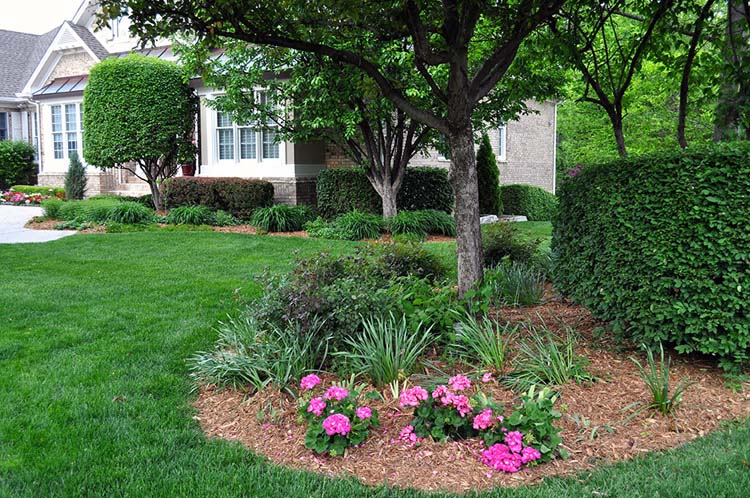 Mulch4