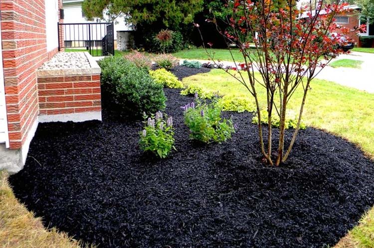 Mulch5